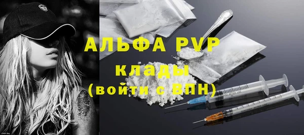 ПСИЛОЦИБИНОВЫЕ ГРИБЫ Белокуриха